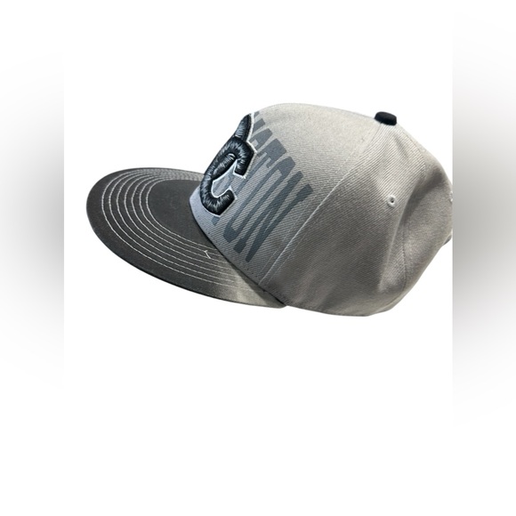 DC‎ SnapBack hat gray - Picture 2 of 8